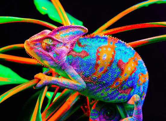 Centralize Learning at a Global Scale With Adaptive Learning Ecosystems