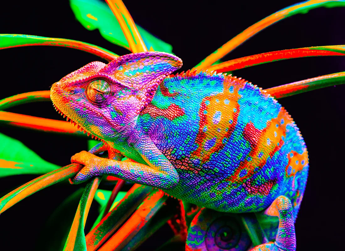 Centralize Learning at a Global Scale With Adaptive Learning Ecosystems