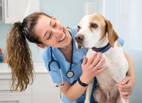 Upskilling Employees to Adopt Veeva CRM Adoption for Enhancing Customer Engagement