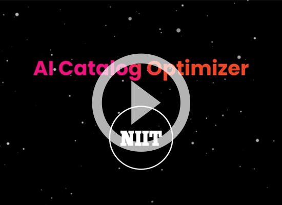 NIIT_AI-CATALOG-OPTIMIZER