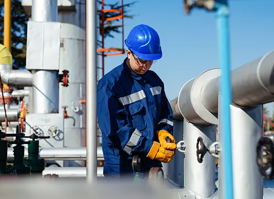 Digital Upskilling for Innovation and Sustainability