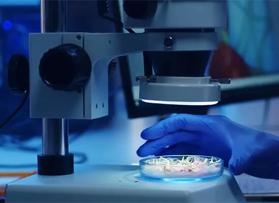 NIIT Life Sciences Accelerate