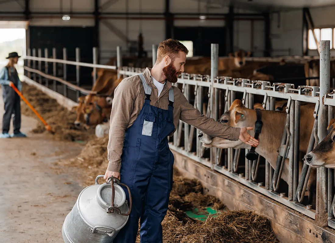 Building-Procurement-