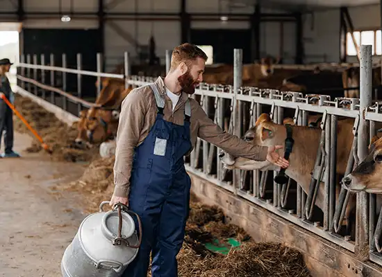 Building-Procurement-