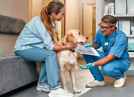 Measuring-Learning-to-Drive-Better-Outcomes-in-Veterinary-Care